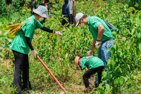 Diageo Việt Nam trồng rừng tại Khu Dự trữ Sinh quyển Đồng Nai