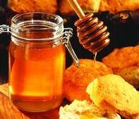 Mật ngọt chết ruồi
