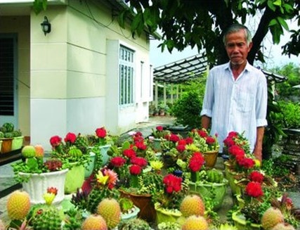 “Cây Năm Trường”