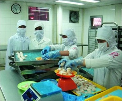Công ty cổ phần chế biến hàng xuất khẩu Cầu Tre: Tích cực chăm lo cho người lao động