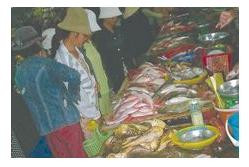Chợ Phan Thiết được mùa hải sản