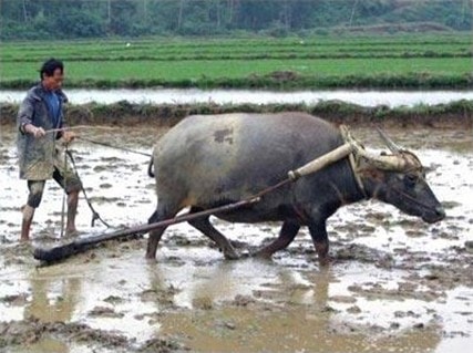Đừng để nông dân mất cơ hội