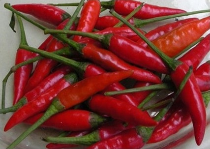 Cơ hội và thách thức mới ở thị trường Mỹ