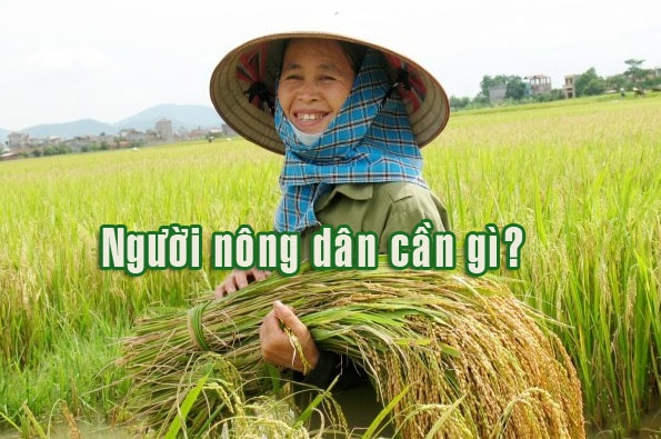 Thực trạng chính sách phát triển nông thôn hiện nay