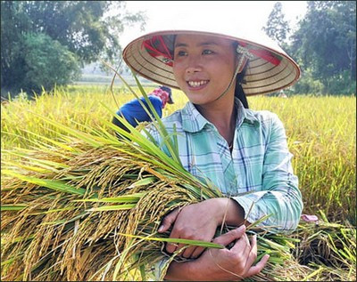 Lần đầu tiên tổ chức “Festival Lúa gạo Việt Nam”