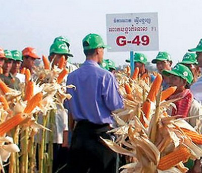 Đưa kỹ thuật nông nghiệp sang Campuchia