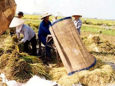 Hãy hồi sinh cho bảo hiểm nông nghiệp