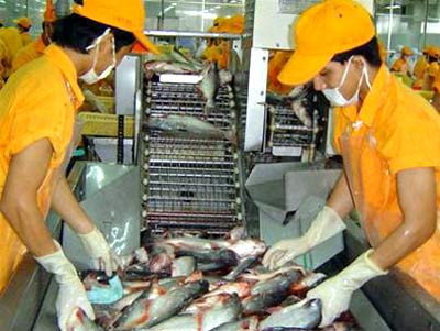 Xuất khẩu cá tra ước đạt trên 1 tỷ USD