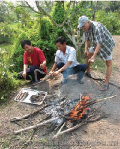 Ăn đũa nằm