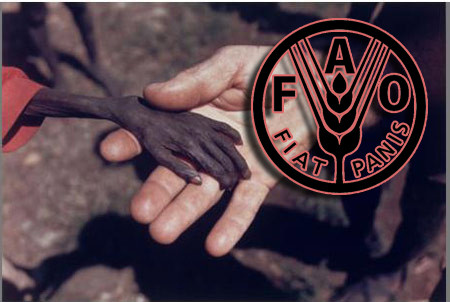 FAO: Việt Nam chống đói nghèo thành công