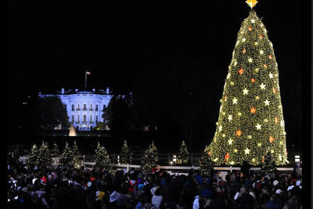Thắp sáng cây thông Noel ở Mỹ