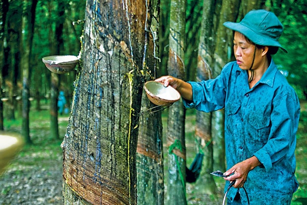 Đầu tư nhân lực là cách làm bền vững