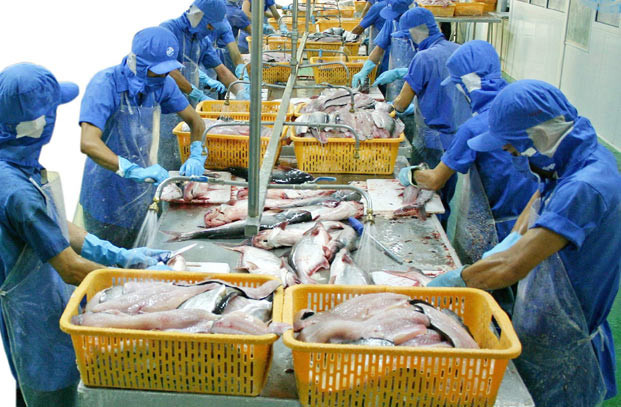 Sản xuất thủy sản phải theo quy chuẩn quốc gia