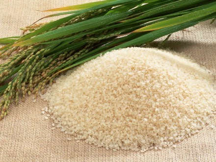 Liên kết nâng cao giá trị hạt gạo Việt Nam