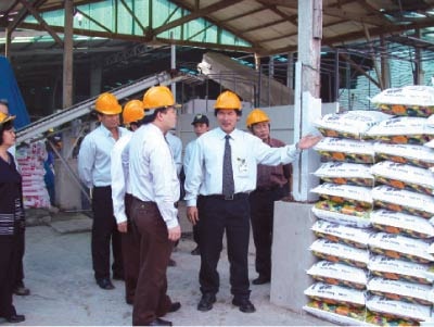 Hương bùn