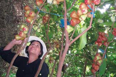Nửa cảm, nửa thương