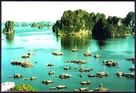 Bản tin văn hóa trong nước (11/5)