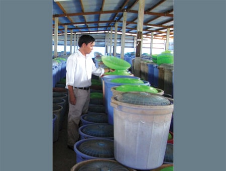 Chủ trại dế Thanh Tùng: Bắt dế 