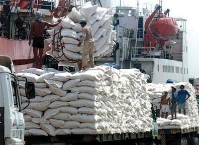 Xoá bỏ độc quyền xuất khẩu gạo được không?