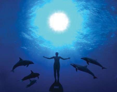 The Cove: Vịnh nhỏ sóng trào  
