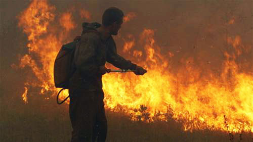 Nga cách chức lãnh đạo Cơ quan lâm nghiệp liên bang liên quan các vụ cháy rừng 