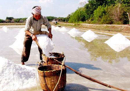 TP.HCM: Diêm dân thấp thỏm vì muối tồn kho