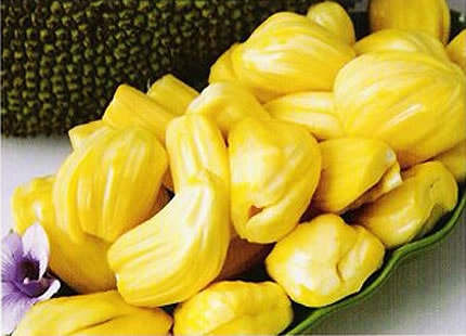 Mít ăn đầu