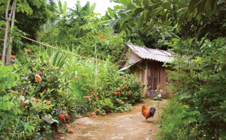 Êm đềm Cửu thác Tú Sơn