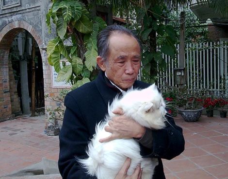 Năm Mèo, kiếm bộn tiền nhờ kinh doanh mèo