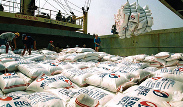 Khi doanh nghiệp nước ngoài tham gia xuất khẩu gạo