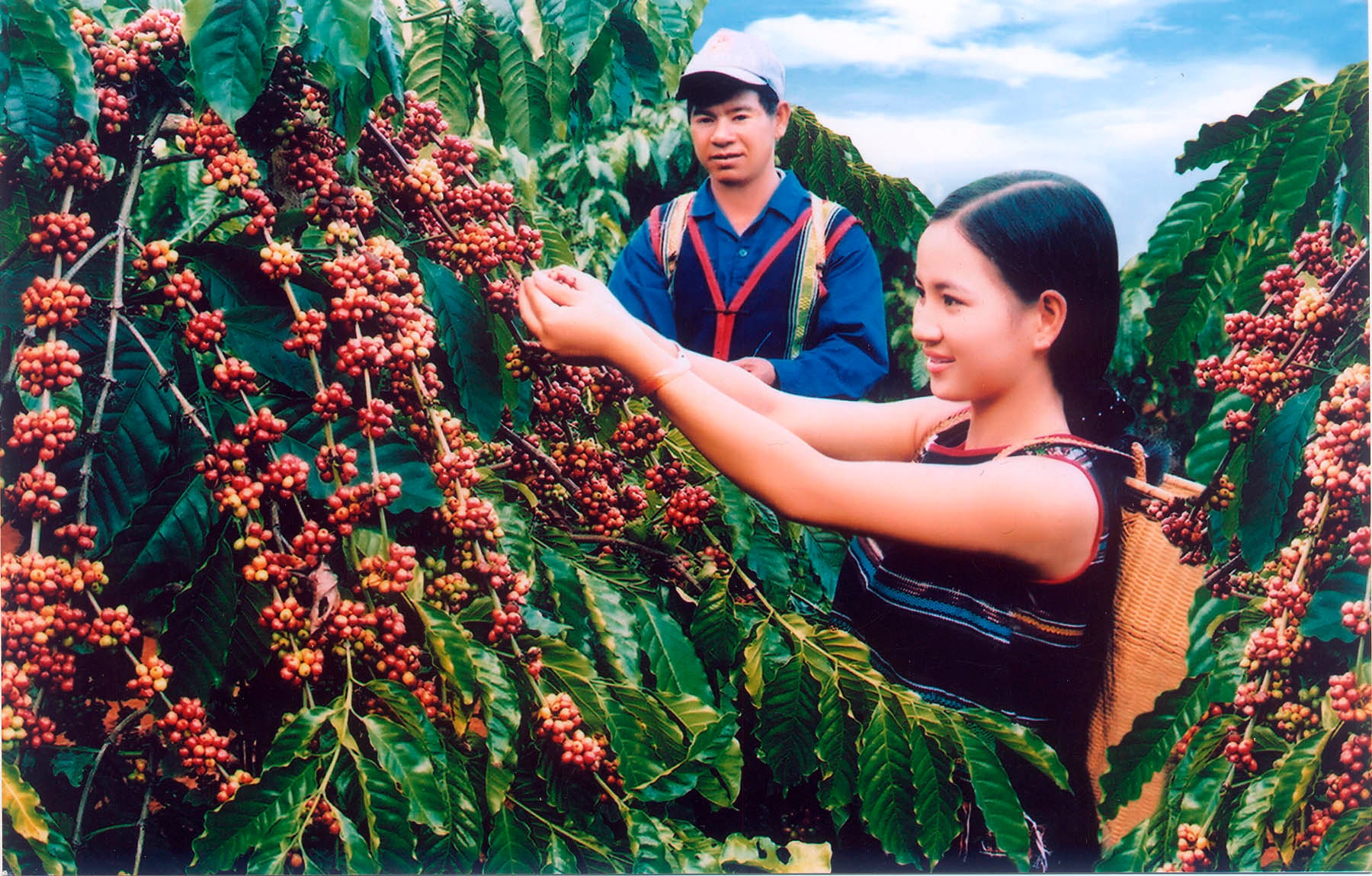 Nhiều doanh nghiệp xuất khẩu “đói” vốn 
