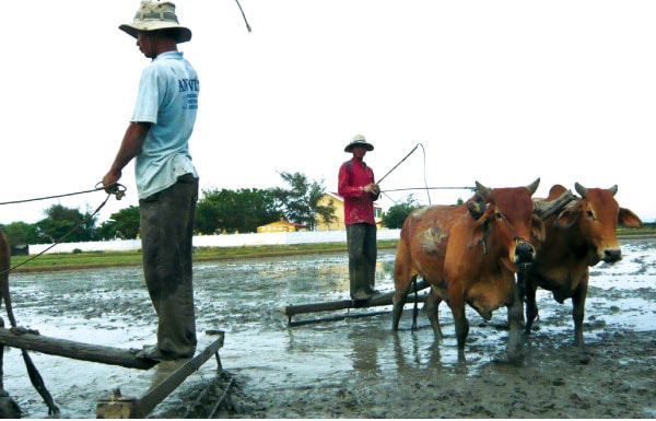 Cùng nhau tìm lối