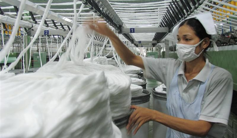 Bông nguyên liệu ngành dệt: Cuối năm lại tăng giá?