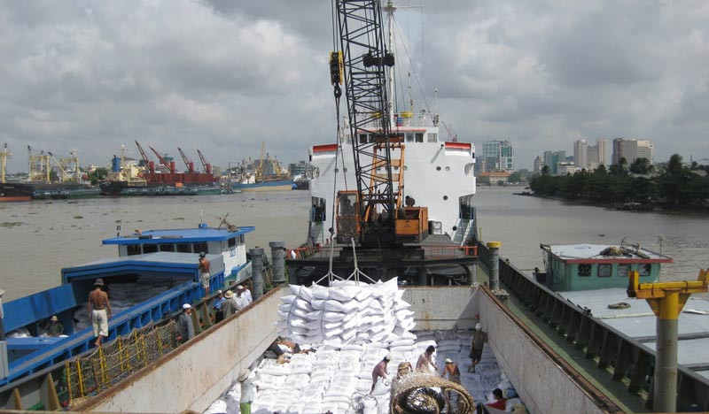 Lợi nhuận xuất khẩu gạo còn quá thấp