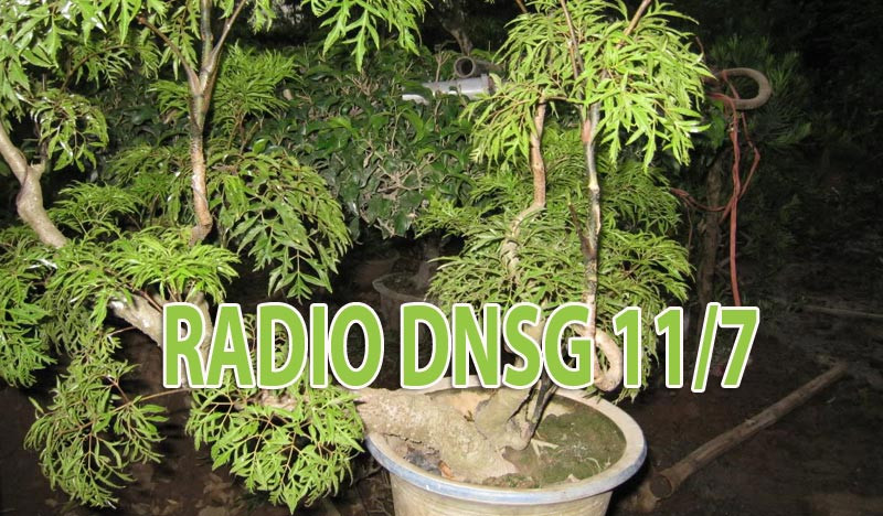 Radio Doanh Nhân Sài Gòn 11/7/2011