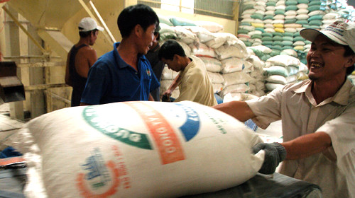 Xuất khẩu gạo: Lắm mối, rối thị trường