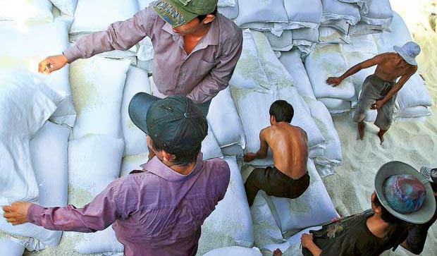 Thị trường lúa gạo: Doanh nghiệp sợ lỗ, nông dân lo ế