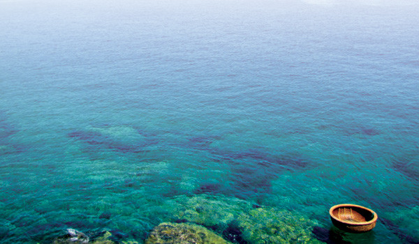 Đảo cỏ ống:  Thiên đường biển
