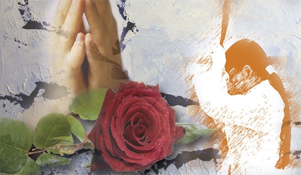 Bông hồng đỏ cho ngày Vu lan