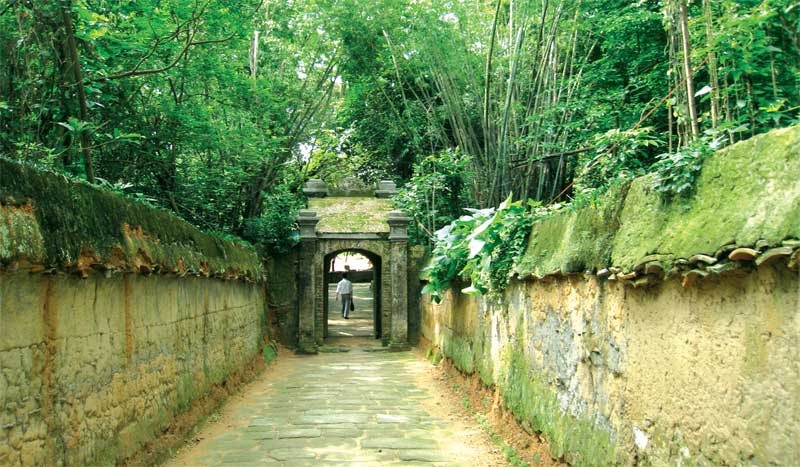 Hương vườn chùa