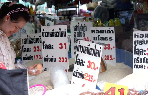 Xuất khẩu gạo Việt Nam sẽ qua mặt Thái Lan