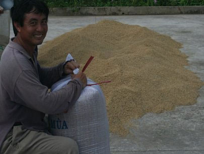 155 doanh nghiệp không được phép xuất khẩu gạo 