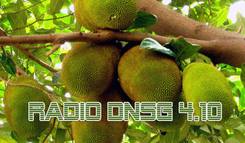 Radio Doanh Nhân Sài Gòn 4/10/2011