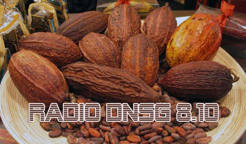 Radio Doanh Nhân Sài Gòn 8/10/2011