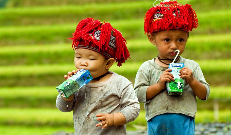 7 tỷ đồng cho Quỹ sữa  “Vươn Cao Việt Nam” 2012