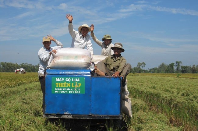 Nông dân thắng đậm 