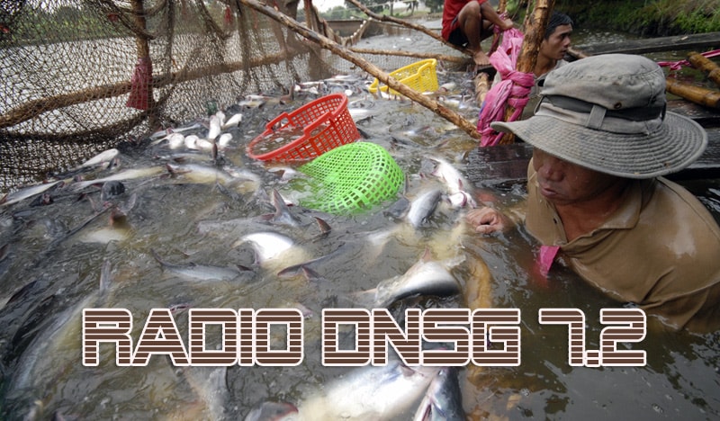 Radio Doanh Nhân Sài Gòn 7/2/2012