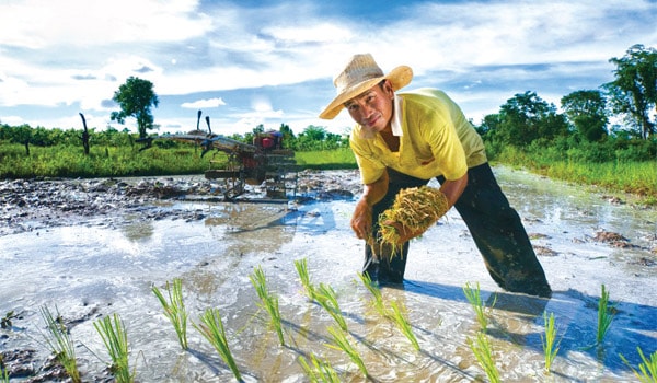 Những đường cày đẹp
