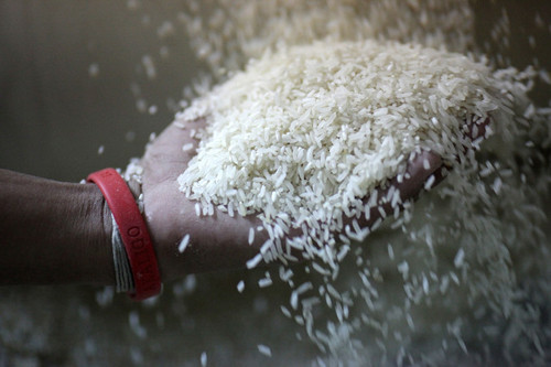 Trữ lượng gạo thế giới cao kỷ lục