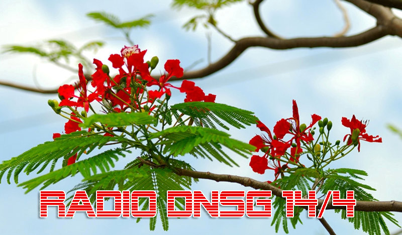 Radio Doanh Nhân Sài Gòn ngày 14/4/2012